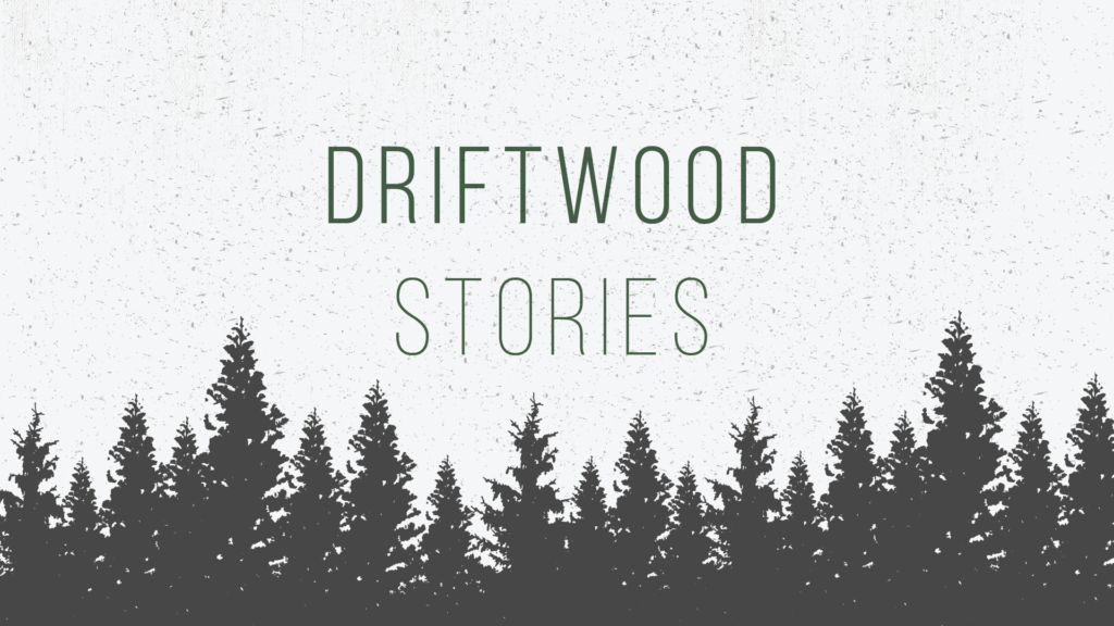 Driftwood Stories Media Production