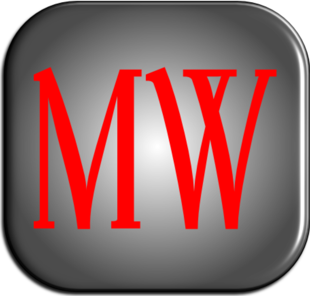 MovieWhip – 4K Wedding Videographer | 360 Photo Booth | Photographer | Drone Service