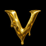 VTR IMAGE | Luxury Real Estate Photography, Videography, Drone Services & Digital Marketing