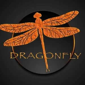 Dragonfly Drone Services LLC