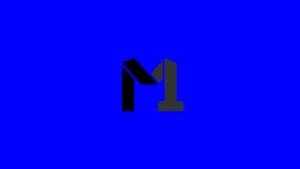 Mobius 1 Drone Services, LLC