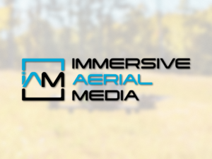 Immersive Aerial Media