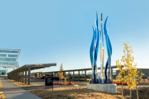 Portfolio Image 2