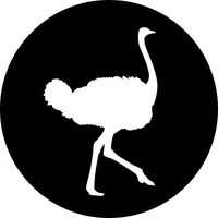 Flying Ostrich Media, Inc.