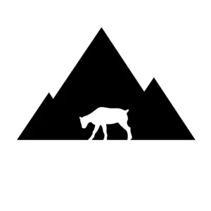 Mountain Kid Media