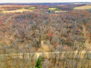 Portfolio Image 8