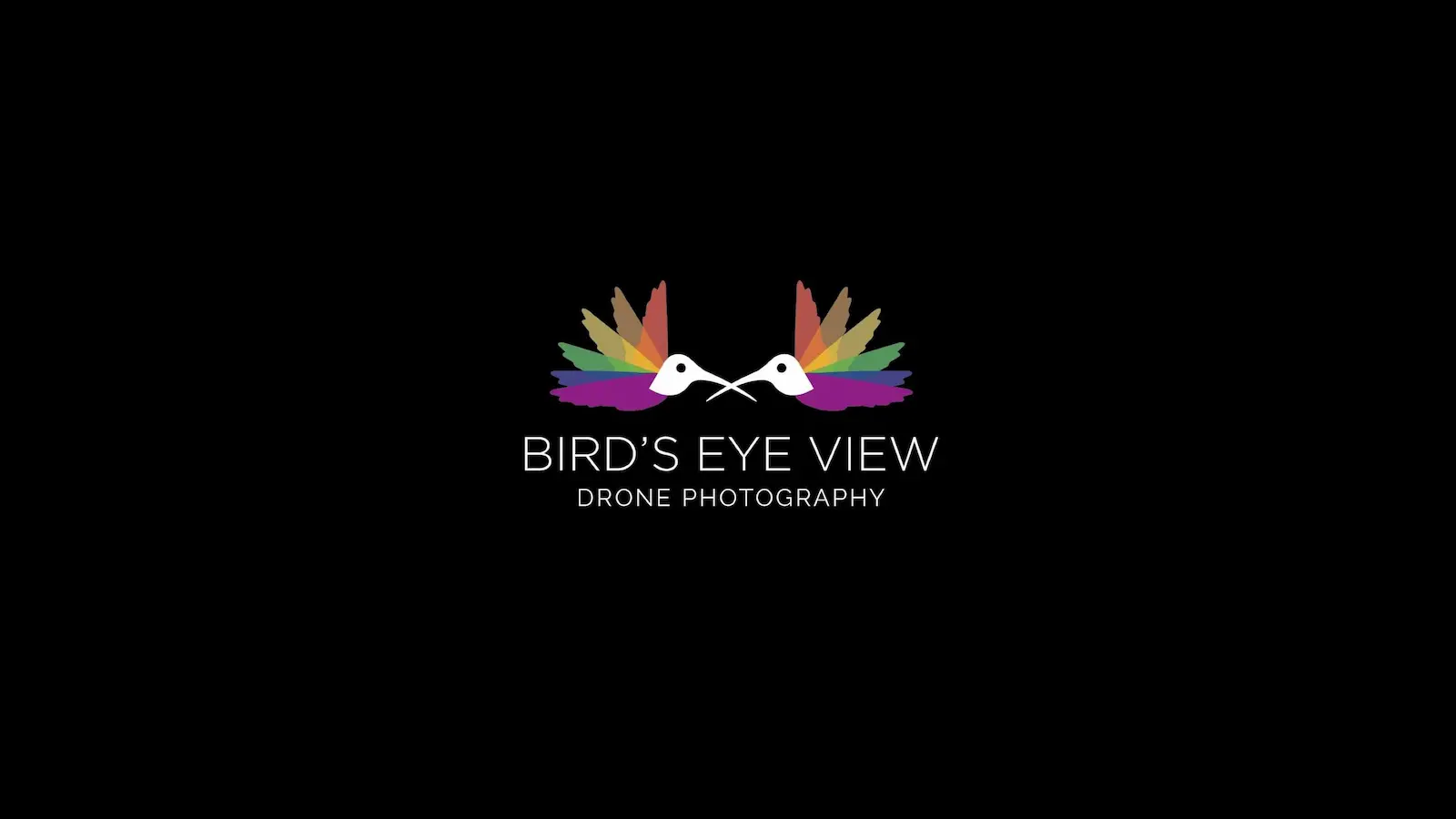 Bird’s Eye View Drone & Marketing Services logo
