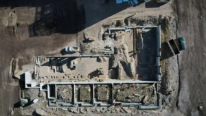 Portfolio Image 5