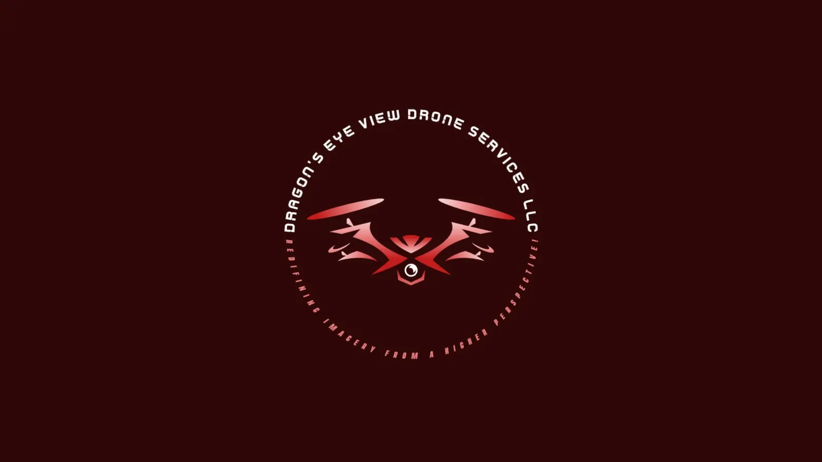 Dragon's Eye View Drone Services LLC logo