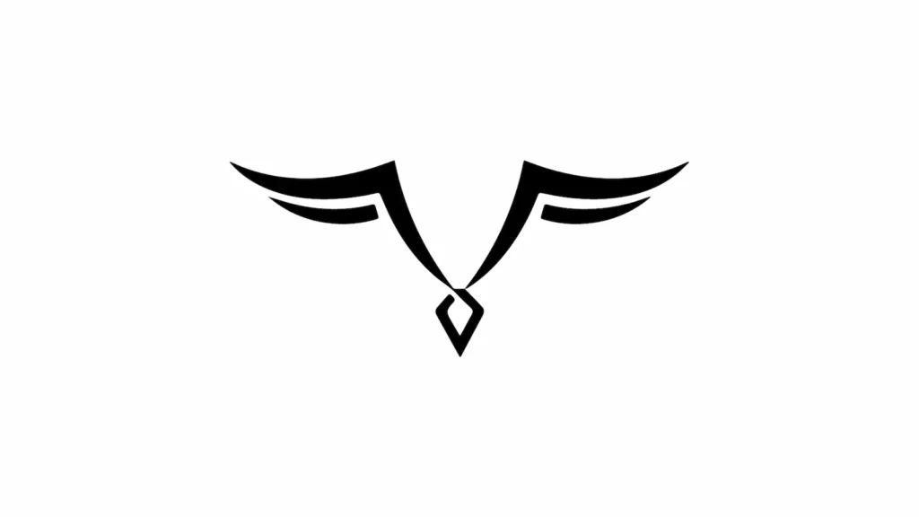 Drones Reign LLC