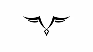 Drones Reign LLC