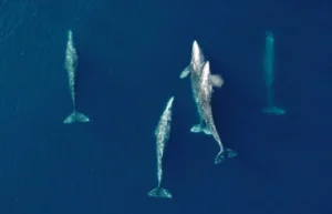 Portfolio Image 5
