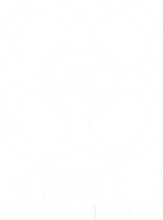 SWK Drone Services
