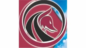 Shotfox Aerial Services LLC