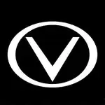 VIZZYNESS Video | Consulting | Drone