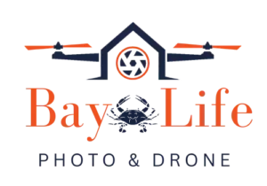 Bay Life Photo & Drone