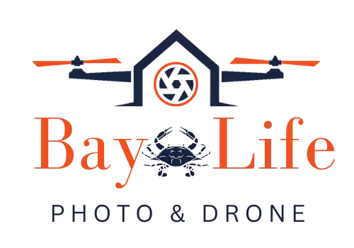 Bay Life Photo & Drone
