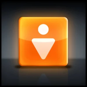 Big Shoulders Digital Video Productions