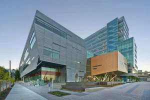 Portfolio Image 1