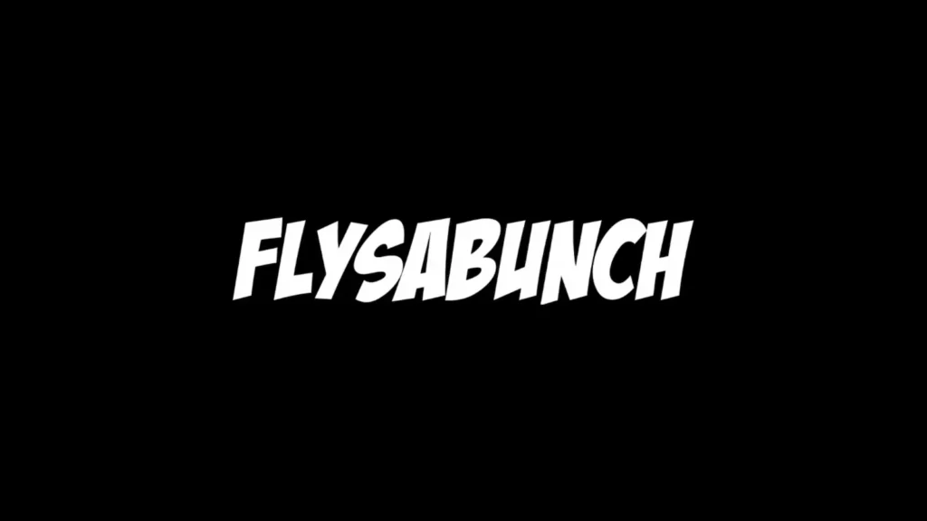 Flysabunch – Drone Video Service