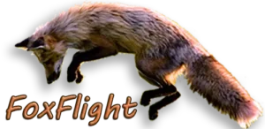 FoxFlight Drone Video