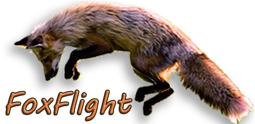 FoxFlight Drone Video