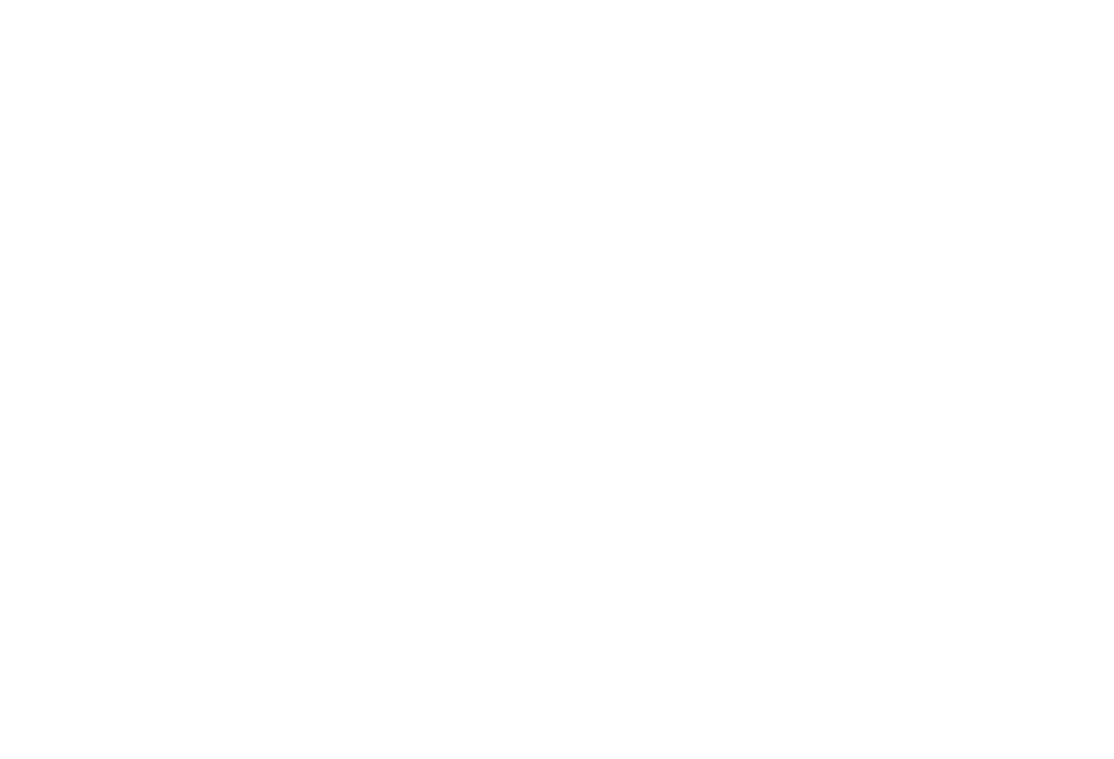 Raise the Roof Entertainment