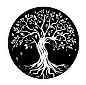 Silver Tree Videography