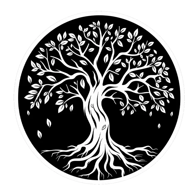 Silver Tree Videography