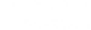VISION 360AI