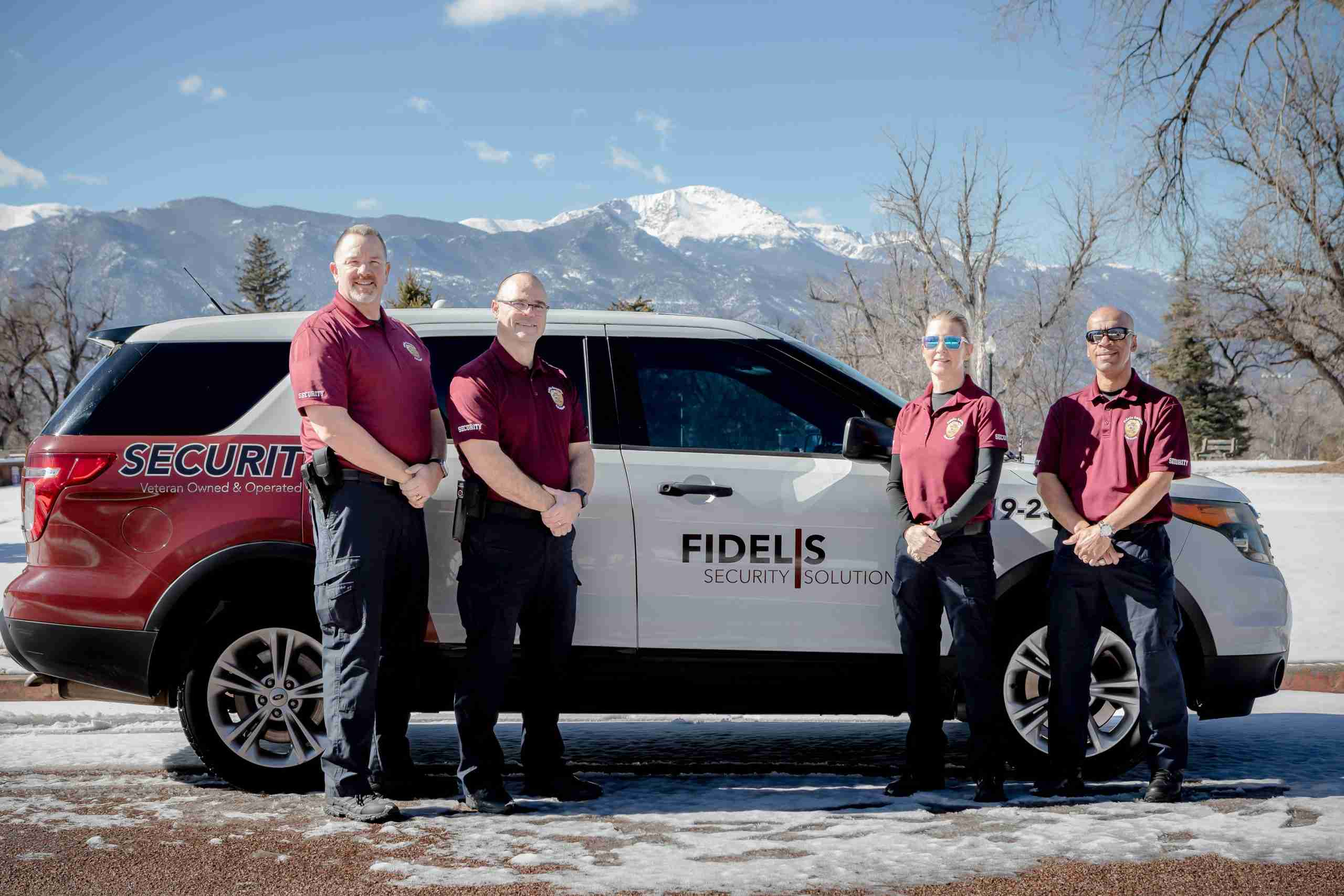Fidelis Security Solutions