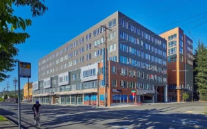 Portfolio Image 9