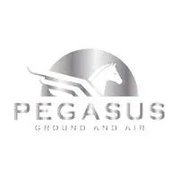 Pegasus Real Estate Media LLC