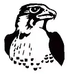 Silver Hawk Home Inspections