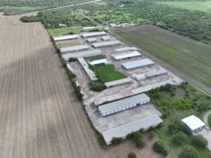 Portfolio Image 4