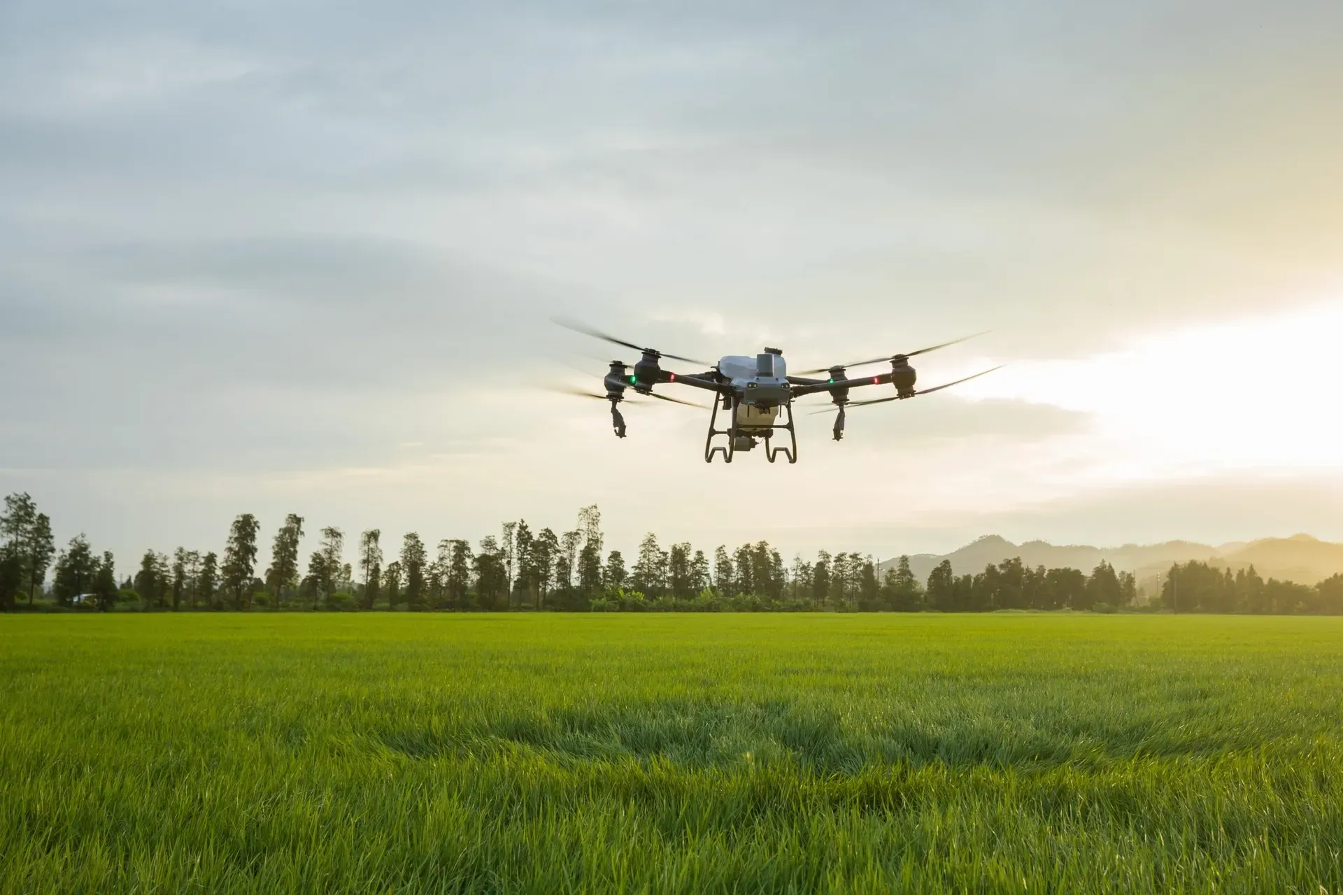 Osprey Drone Services LLC