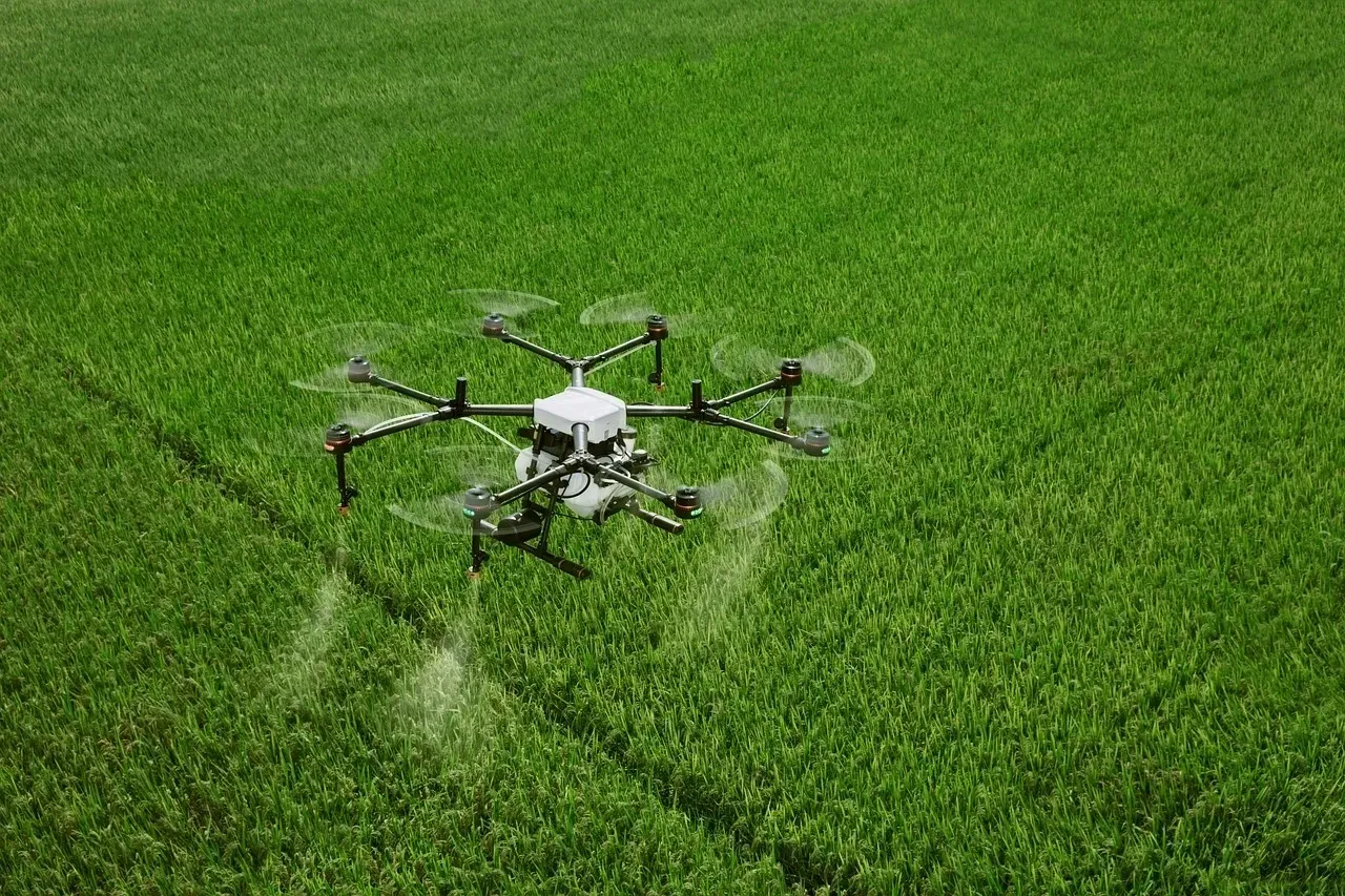 Bee Fly Drone Services LLC