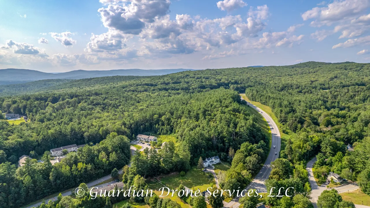 Guardian Drone Services