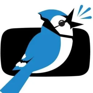 Jaybird Media LLC