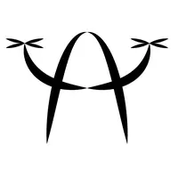 Avios Videography