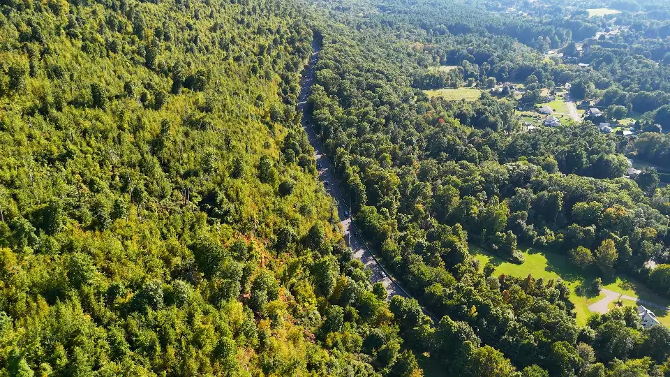 Aerial view of a forest and road shot from a drone