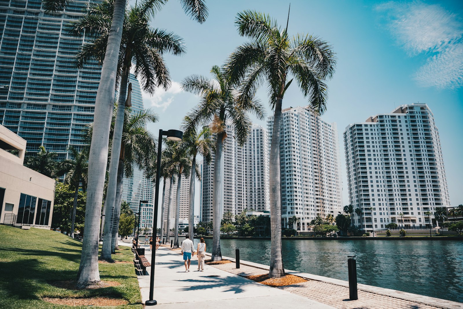 Palm-lined walkway beside high-rise towers in Miami